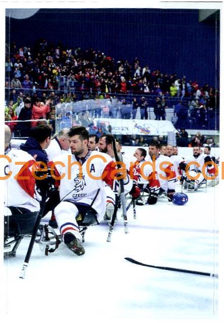 Paralympic hockey 2/2 2021 Kaufland sticker #178
