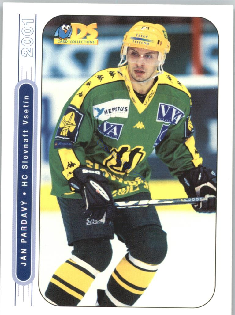 Ján Pardavý DS 2000/01 #19